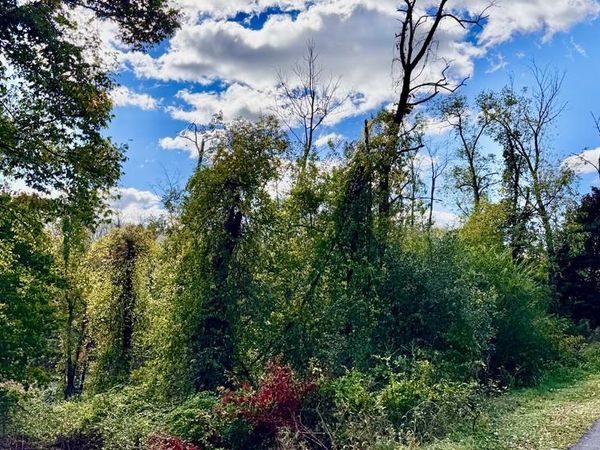 WHITE OAK DRIVE E , RAWLINGS, MD 21557