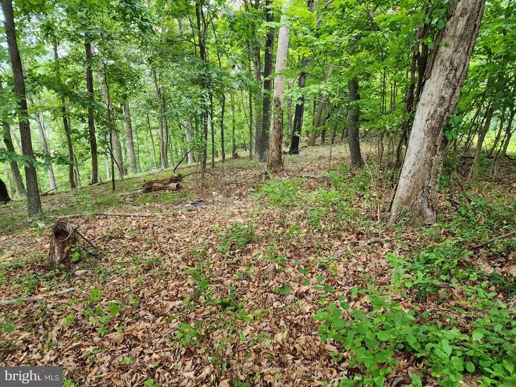 11 Thrush Trl Trail , Fairfield, PA 17320 Main Photo
