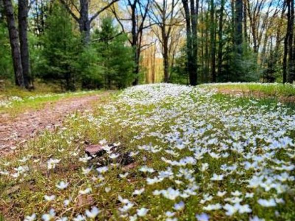 614 GRAYSTONES JERAS RD LOT H-14 , ALBRIGHTSVILLE, PA 18210