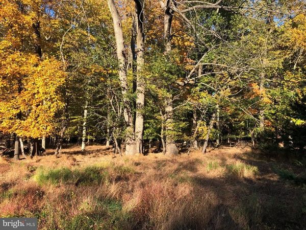 0 LONELY COTTAGE ROAD , UPPER BLACK EDDY, PA 18972