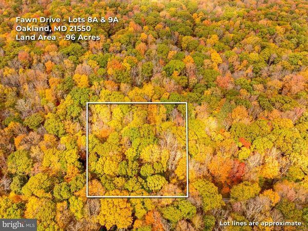 FAWN DRIVE , OAKLAND, MD 21550