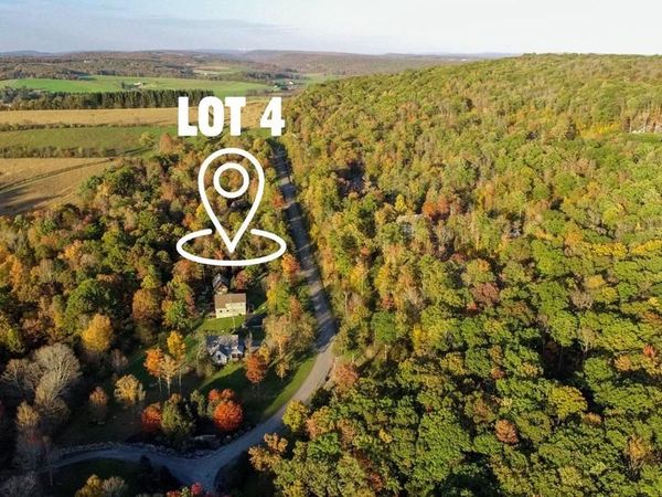 LOT 4 GOLDEN MEADOW LANE , MC HENRY, MD 21541