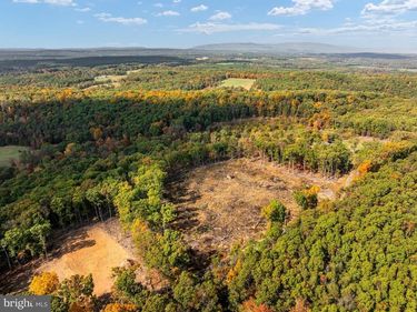SCUTTLEBUTT ROAD , WINCHESTER, VA 22603