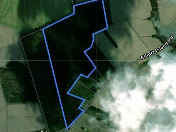 ELLIOTT ISLAND ROAD , VIENNA, MD 21869