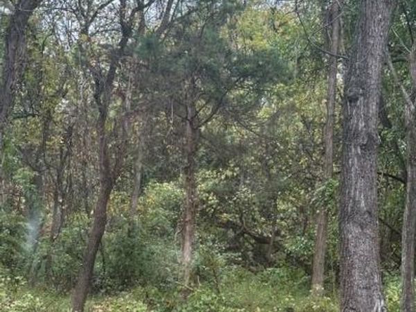 20701 DARNESTOWN ROAD , DICKERSON, MD 20842