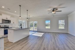 491 Mill Stone Lane  photo 4