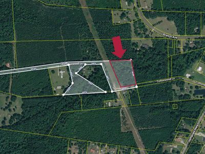 0 Cottonwood Lane, Walterboro, SC 29488