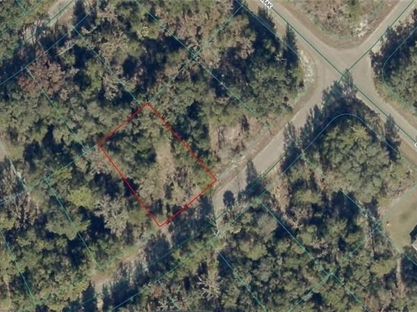 9038-1252-28 Guava TRL , OCKLAWAHA, FL 32179