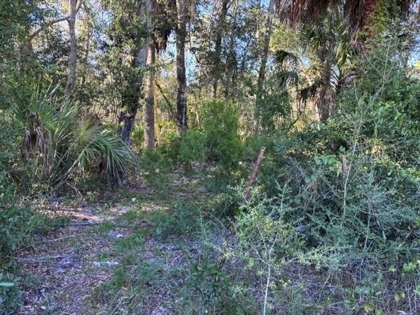 7450 SW STATE ROAD 24 , CEDAR KEY, FL 32625