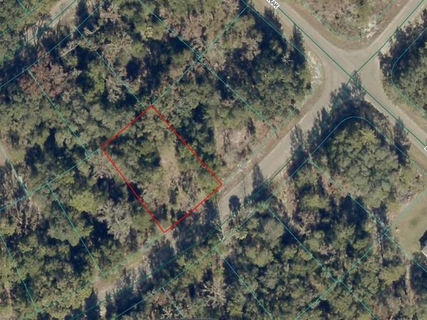 9038-1252-28 GUAVA TRAIL , OCKLAWAHA, FL 32179