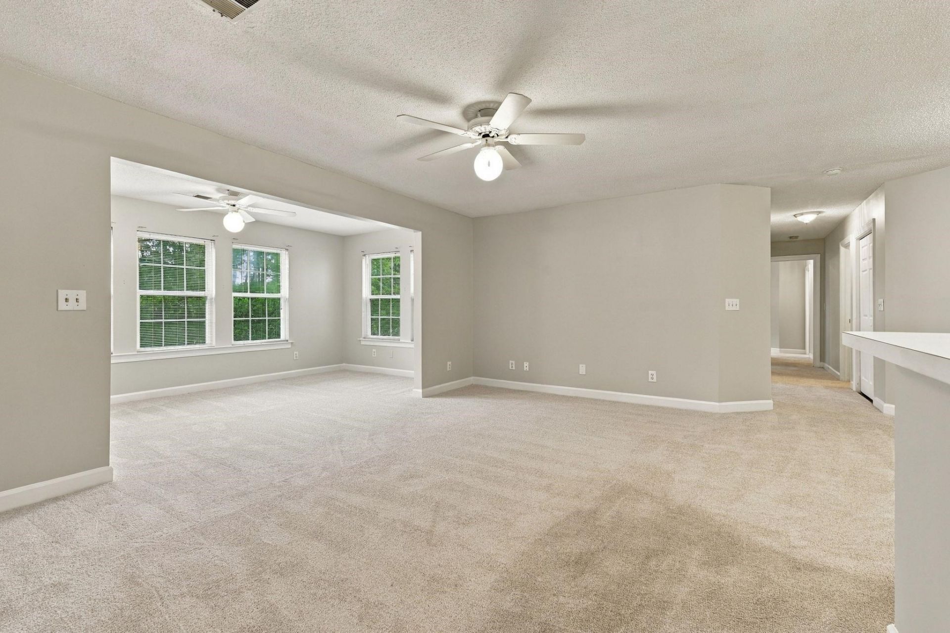 4376 Crepe Myrtle Ct. Photo 4