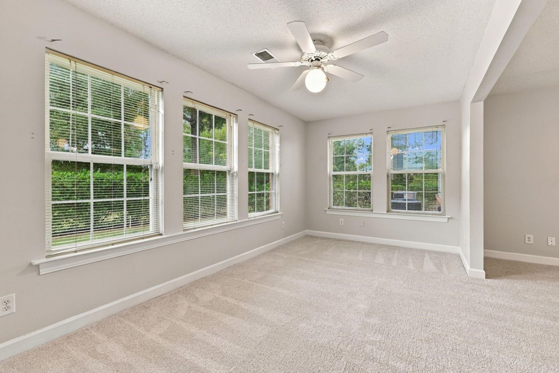 4376 Crepe Myrtle Ct. Photo 9