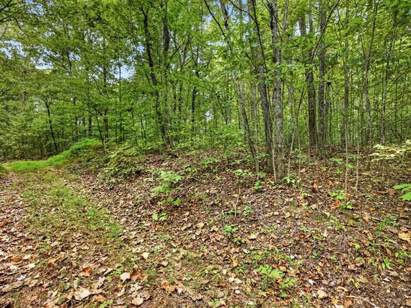 0 Colepin Lane, Unit X & 22, Celina, TN 38551