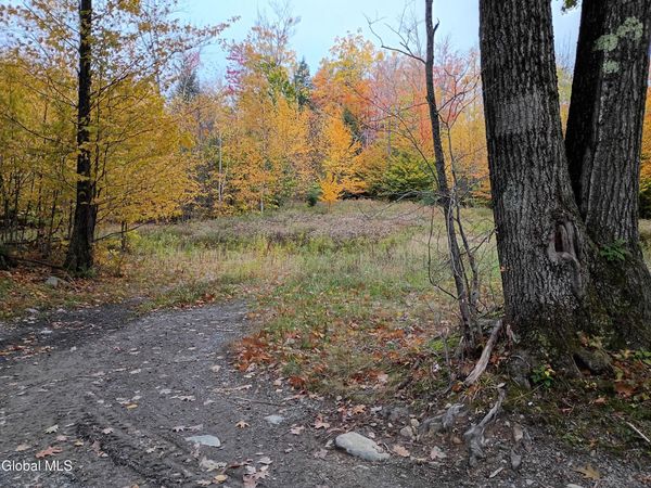 L29.13 Fire Tower Road, Grafton, NY 12138