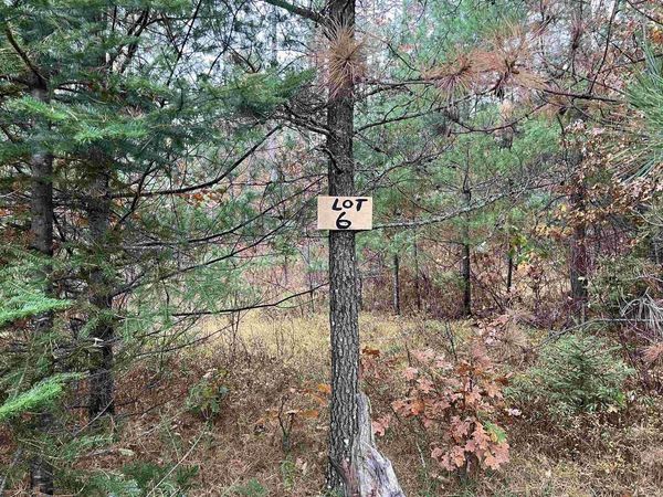 TROUT HAVEN ROAD, Dunbar, WI 54119
