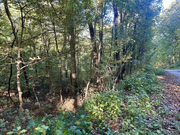 0 Lakeside Dr , Unit 49/50, Smithville, TN 37166