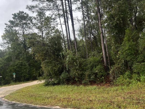 Tbd NE 110th Lane, Archer, FL 32618