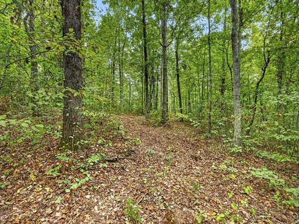 Lot X,21 & 22 Colepin Lane- Phase Ii, Celina, TN 38551