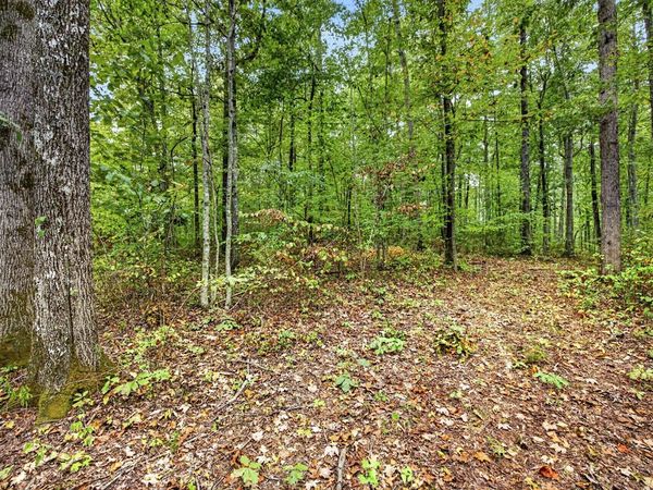Lot X&22 Colepin Lane- Phase Ii, Celina, TN 38551