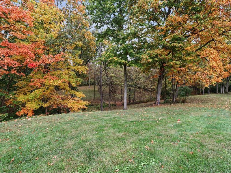 2076 Bayberry Lane, Union, KY 41091 Photo 45