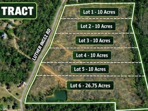 2437 Luther Ingle Road , Ramer, TN 38367
