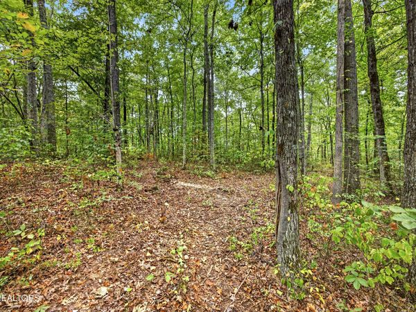 Lot X,21 & 22 Colepin Lane , Celina, TN 38551