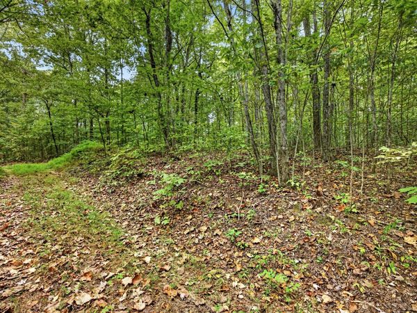 0 Colepin Lane , Unit X,21-2, Celina, TN 38551