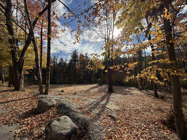 441 Kinsman Road, Grafton, NH 03240