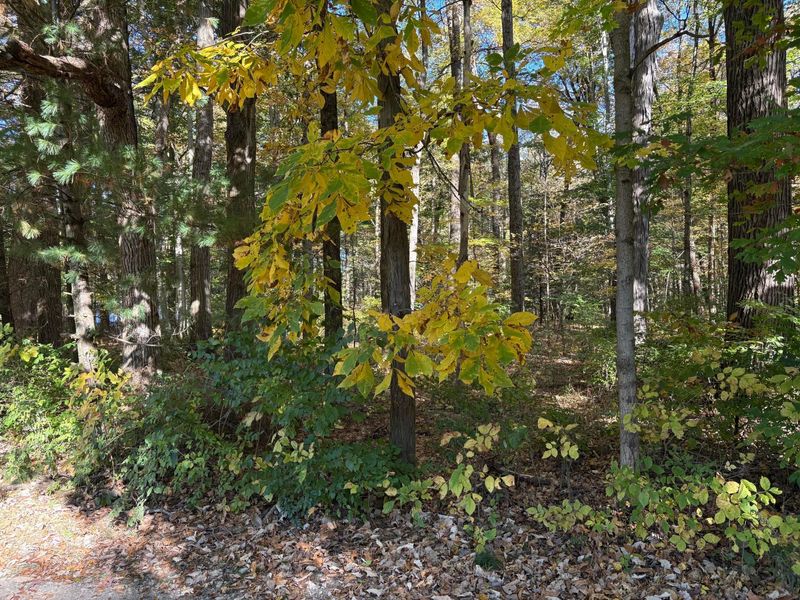 3372 Township Road 221, Marengo, OH 43334 Photo 6
