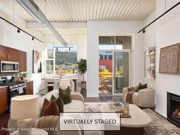 361 Robinson Street, Unit 224, Basalt, CO 81621