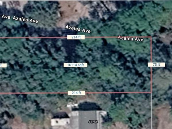 lots 1-3+12-14 CEDAR STREET , PAISLEY, FL 32767
