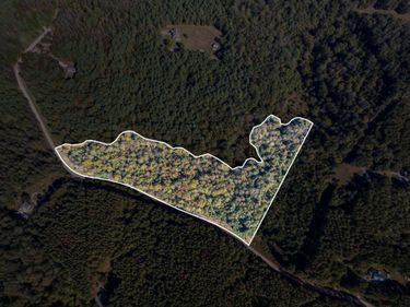 0 Walkers Mountain Road, Arrington, VA 22922