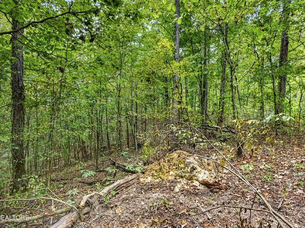 Lot 20,23& 24 Timber Ridge Lane , Celina, TN 38551
