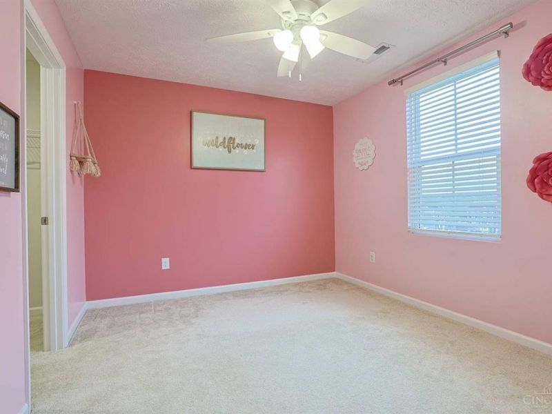 10545 Franklin Drive, Crosby Township, OH 45030 Photo 23