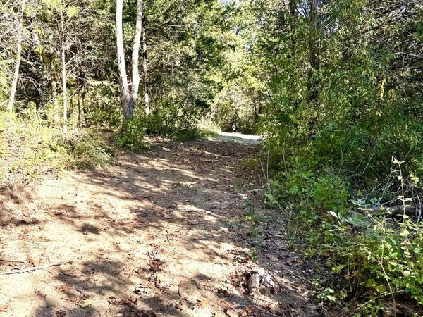 13.11 Acre Taft HWY, Unit Lot 1, Williamstown, KY 41097