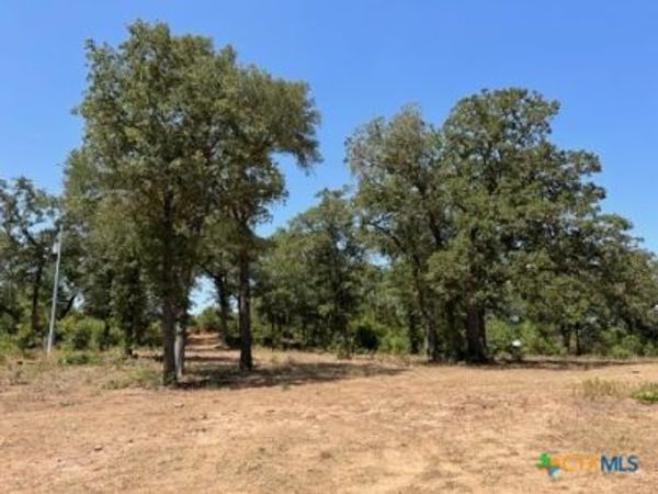 452 Wilhelm Way , Red Rock, TX 78662