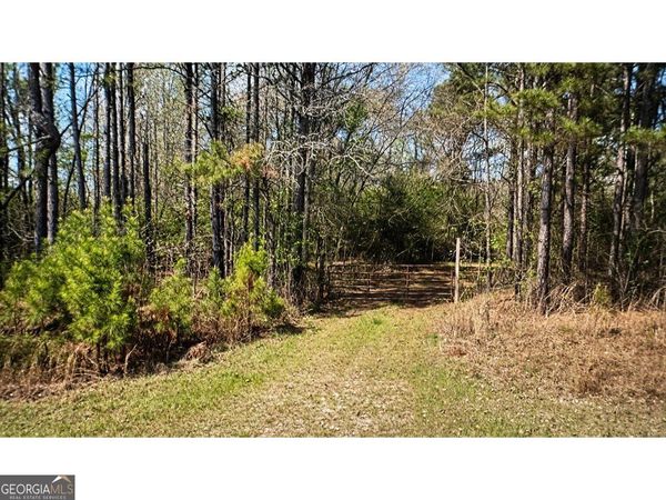 0 Powell Church Road, Talbotton, GA 31827
