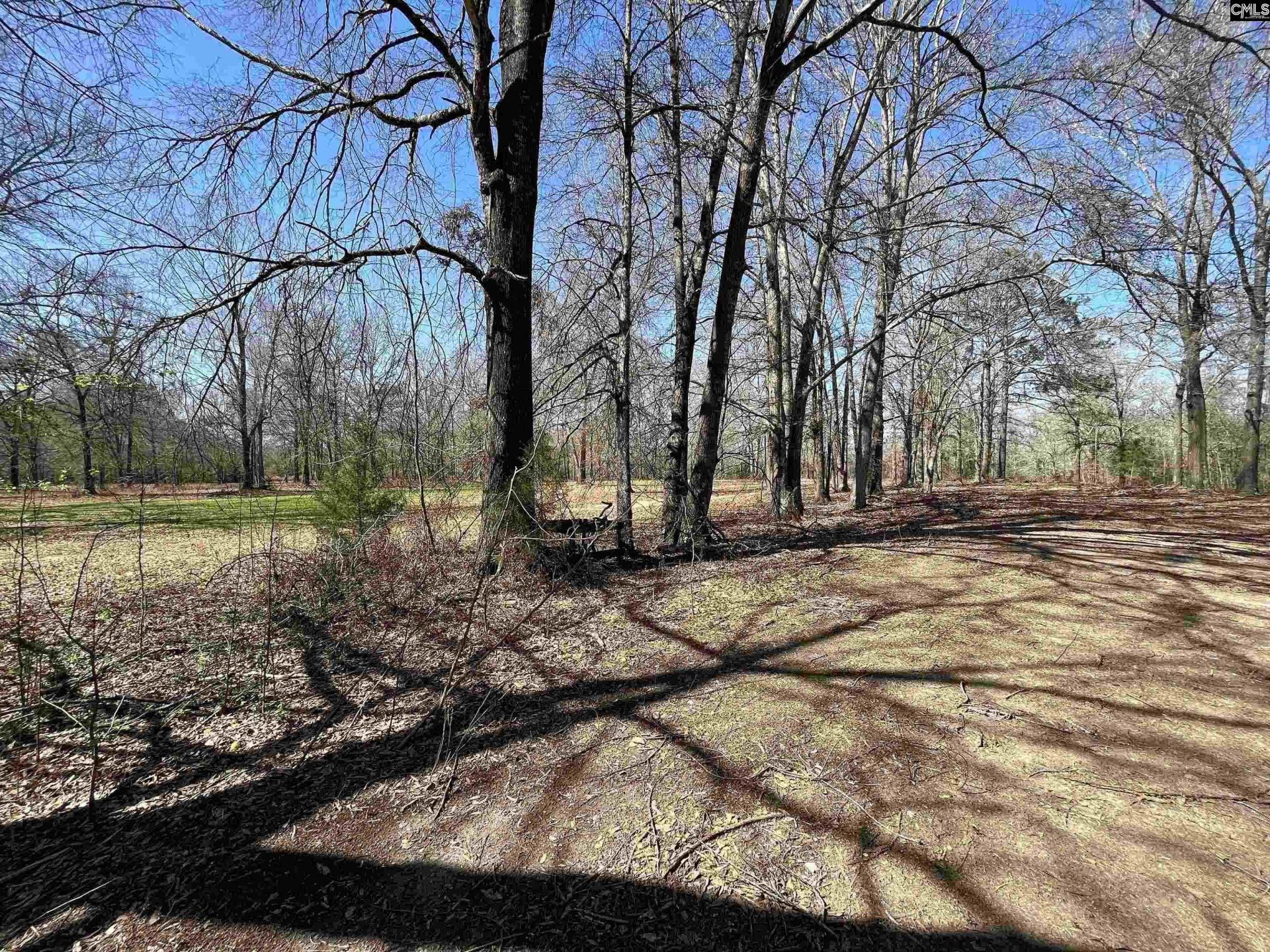 88c Tombfield Road  Photo 15