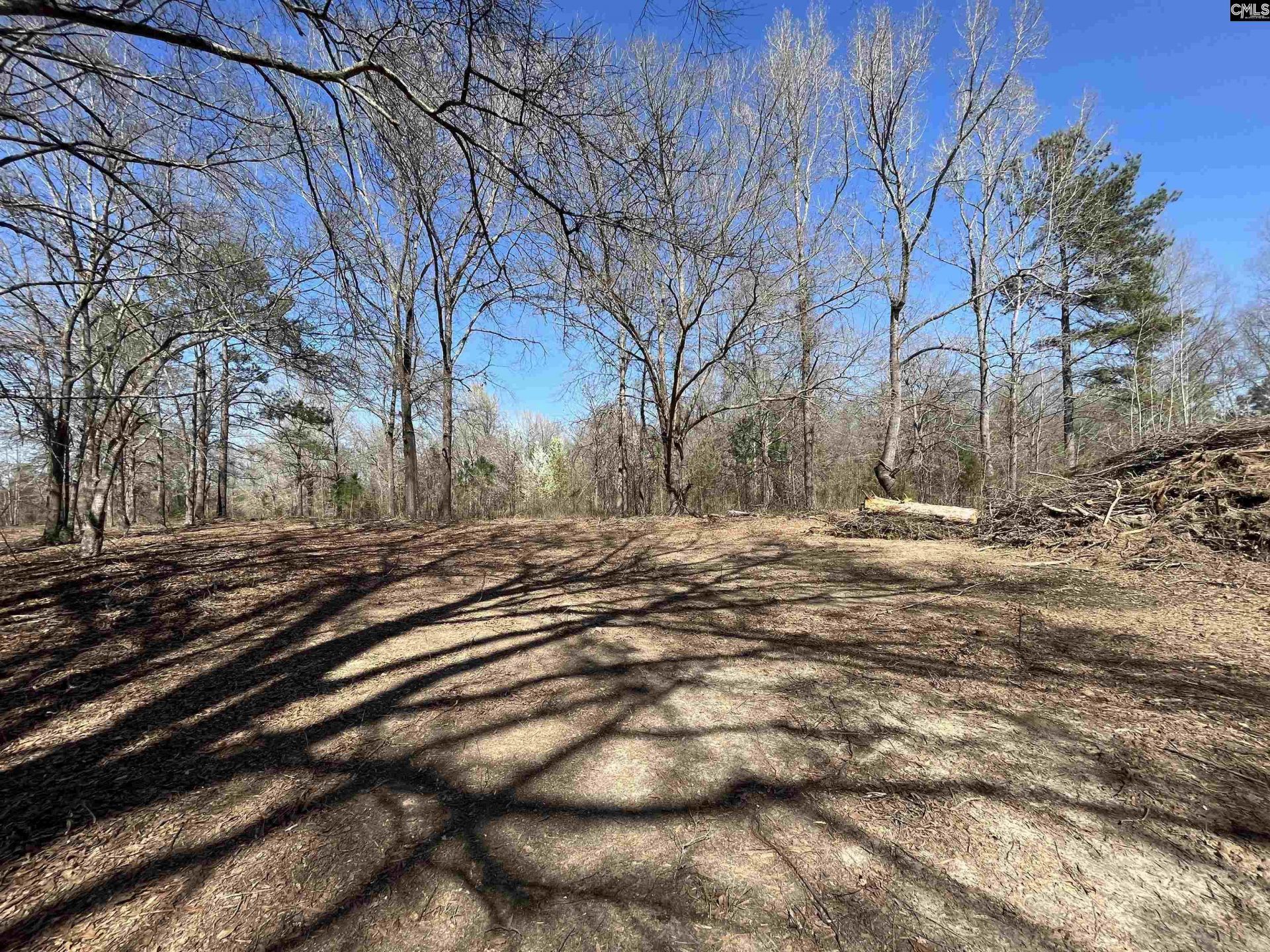 88c Tombfield Road  Photo 18