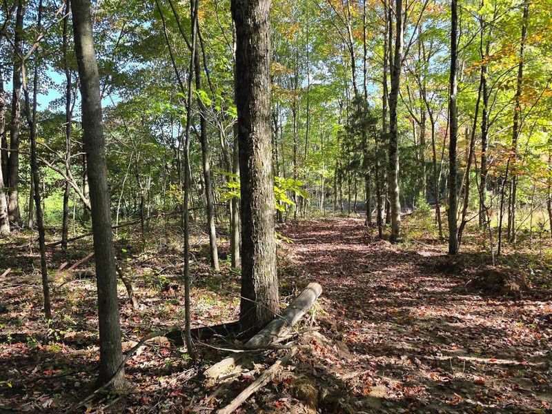 961 Keiser Road , Unit (Tract 3 a, Waverly, OH 45690 Photo 3