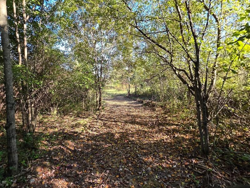 961 Keiser Road , Unit (Tract 3 a, Waverly, OH 45690 Photo 30