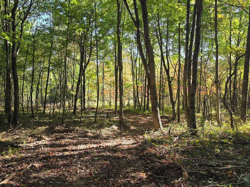 961 Keiser Road , Unit (Tract 3 a, Waverly, OH 45690 Photo 31