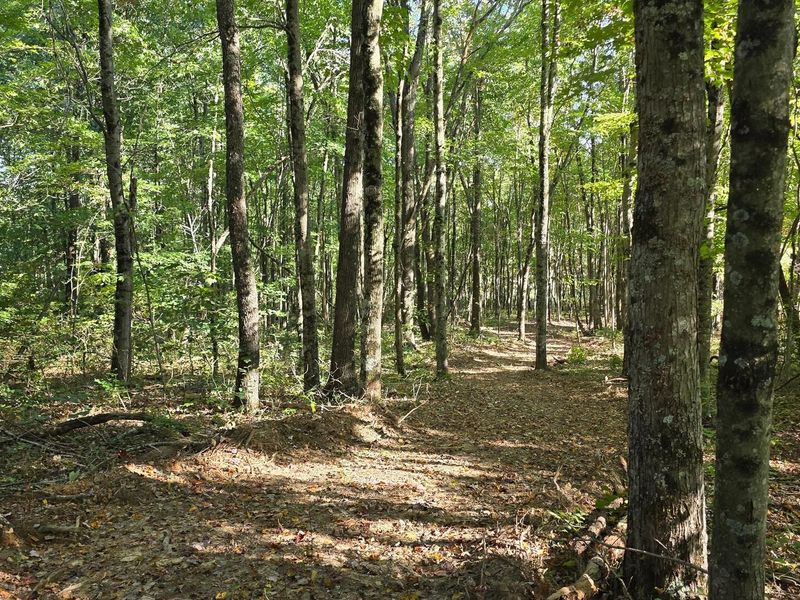961 Keiser Road , Unit (Tract 3 a, Waverly, OH 45690 Photo 32