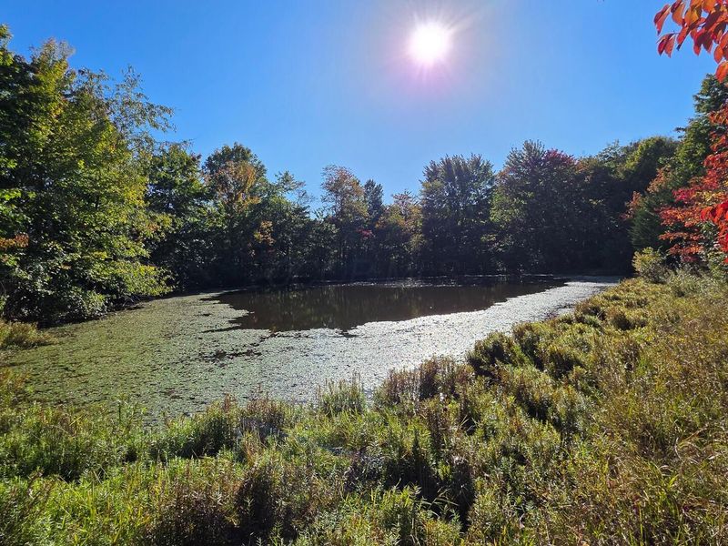 961 Keiser Road , Unit (Tract 3 a, Waverly, OH 45690 Photo 5