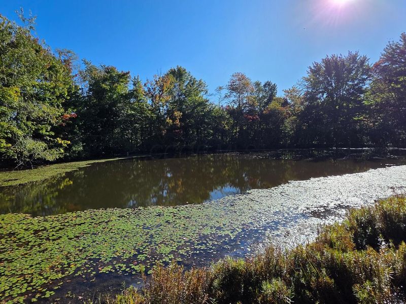 961 Keiser Road , Unit (Tract 3 a, Waverly, OH 45690 Photo 6