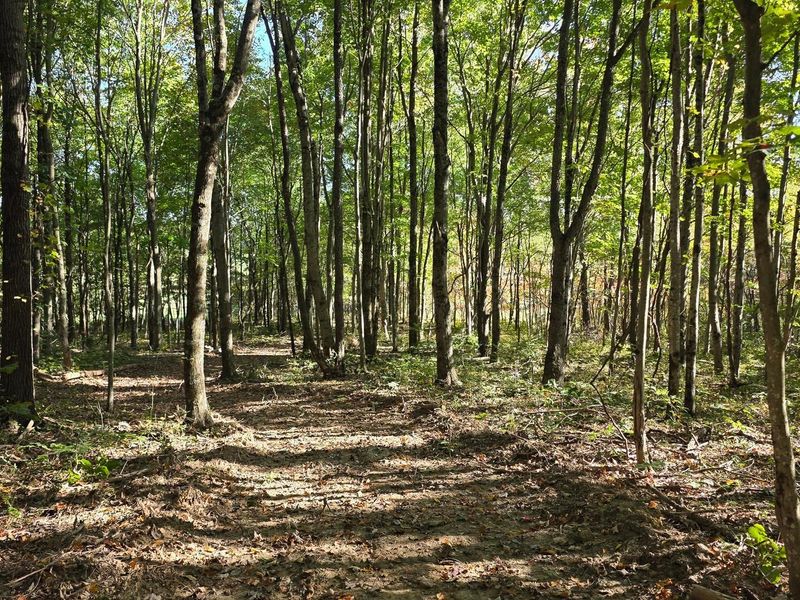 961 Keiser Road , Unit (Tract 3 a, Waverly, OH 45690 Photo 7