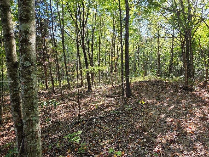 961 Keiser Road , Unit (Tract 3 a, Waverly, OH 45690 Photo 8