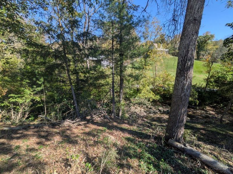 3315 Cole Road, Pierce Township, OH 45157 Photo 69