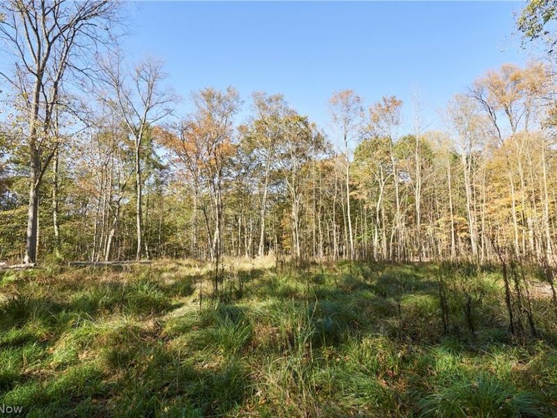 6697 Boneta Road, Medina, OH 44256 Photo 10