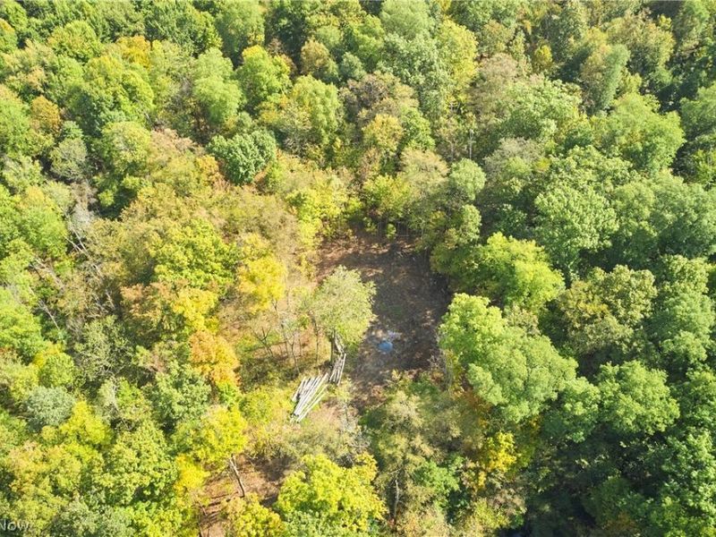 6697 Boneta Road, Medina, OH 44256 Photo 18
